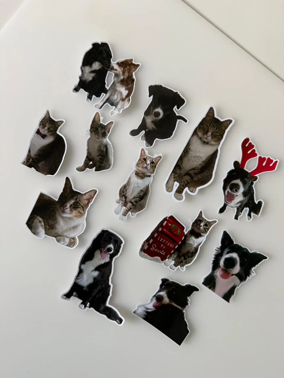 Die-cut stickers made from customers' real dog and cat photos